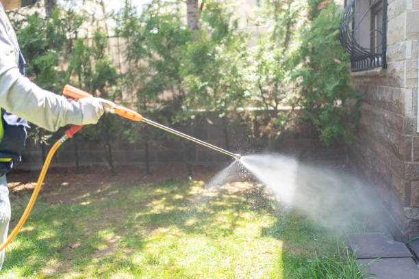 Best Fumigation Services  in Folsom, PA